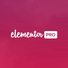 Elementor Pro